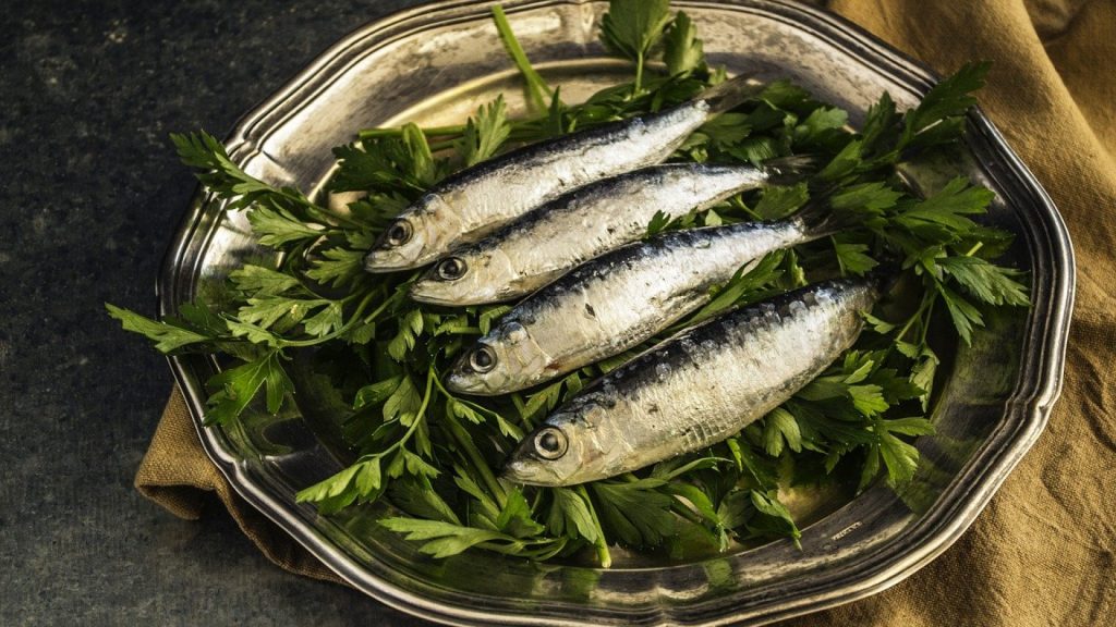 Quelques bonnes raisons de consommer la sardine cuite ou crue