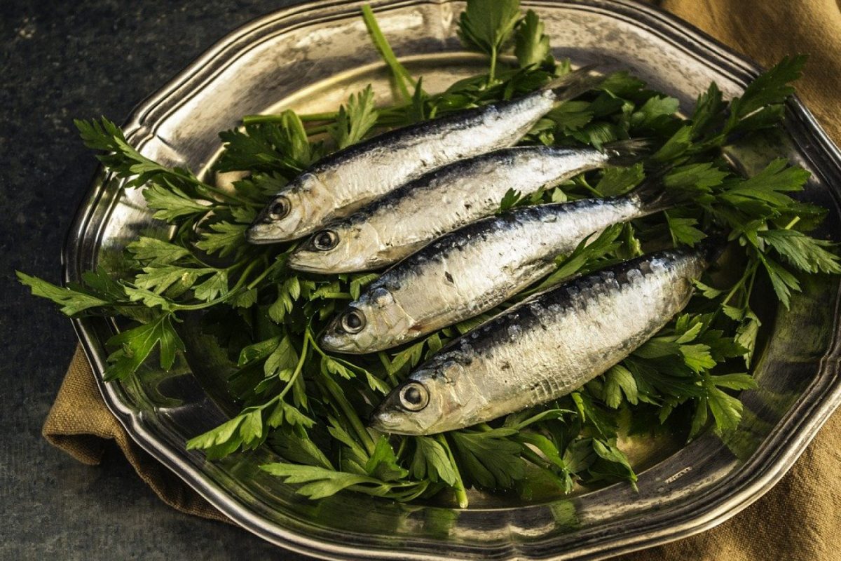 Quelques bonnes raisons de consommer la sardine cuite ou crue