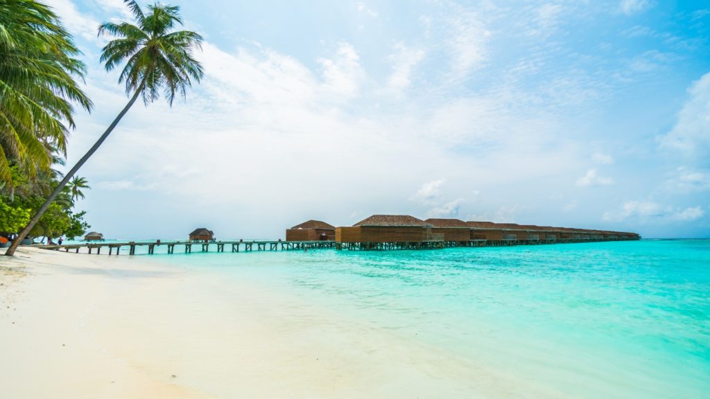 Explorez les Maldives : le moment parfait pour partir