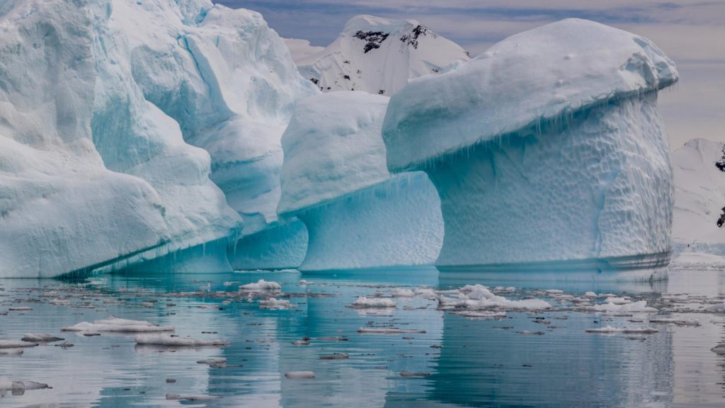L’antarctique en croisière : comment cette expérience unique change la façon de voyager