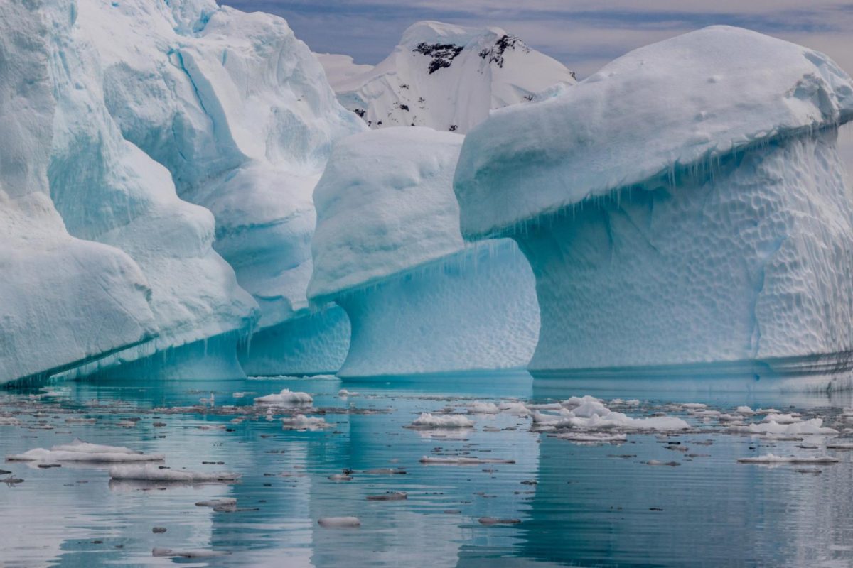 L’antarctique en croisière : comment cette expérience unique change la façon de voyager
