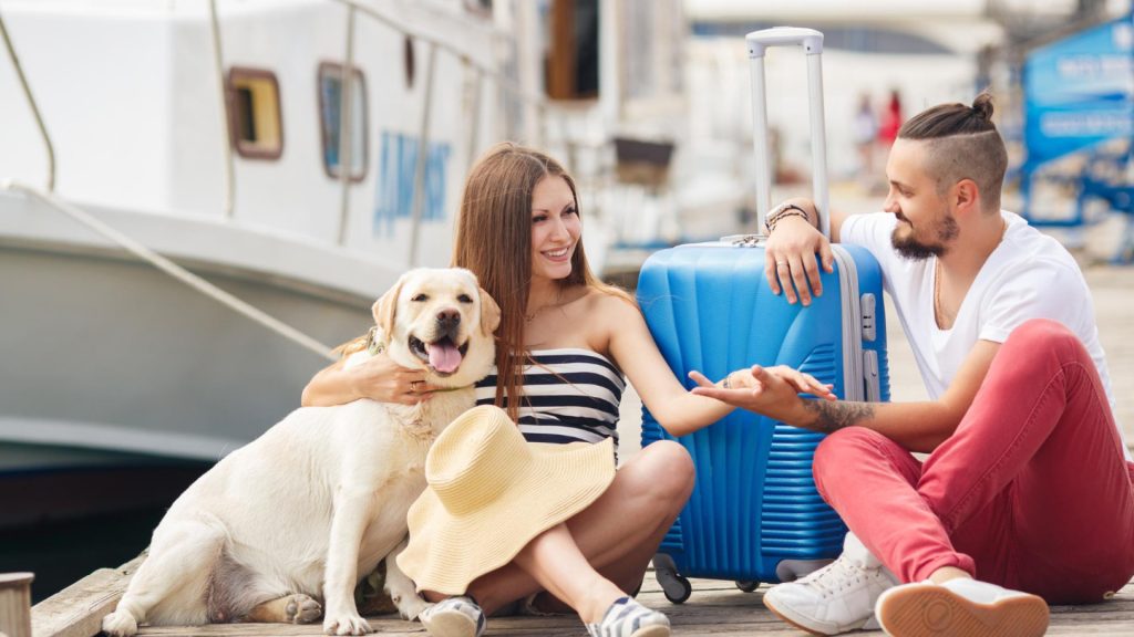 Votre animal à bord : les croisières qui vous permettent de voyager ensemble !