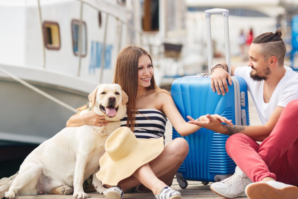 Votre animal à bord : les croisières qui vous permettent de voyager ensemble !