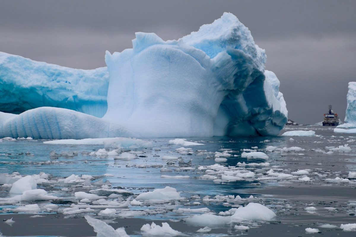 Antarctique en croisière : guide pour explorer la région la plus froide de la planète