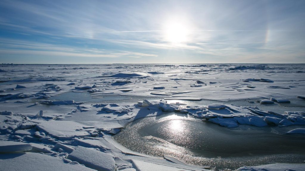 Quels facteurs influencent le prix d'un voyage en antarctique ?