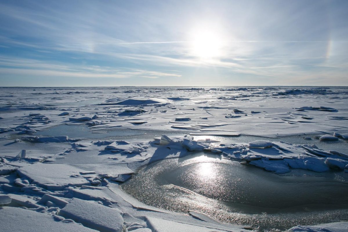 Quels facteurs influencent le prix d'un voyage en antarctique ?
