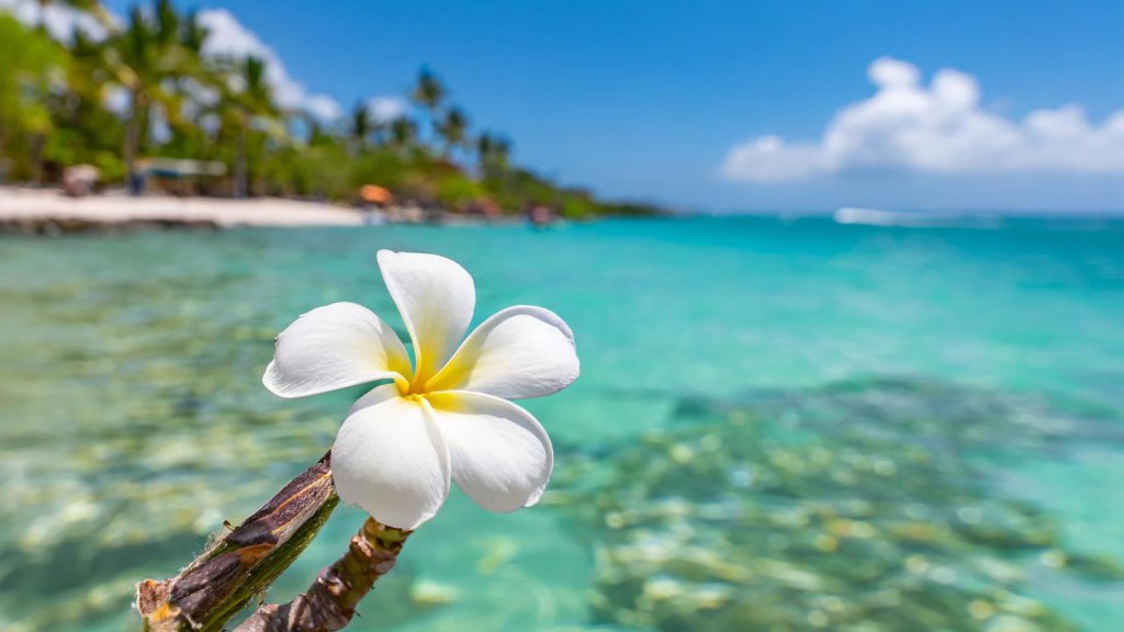 Tahiti en croisière : plages, lagons et immersion dans la culture locale