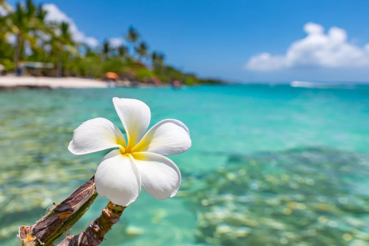 Tahiti en croisière : plages, lagons et immersion dans la culture locale