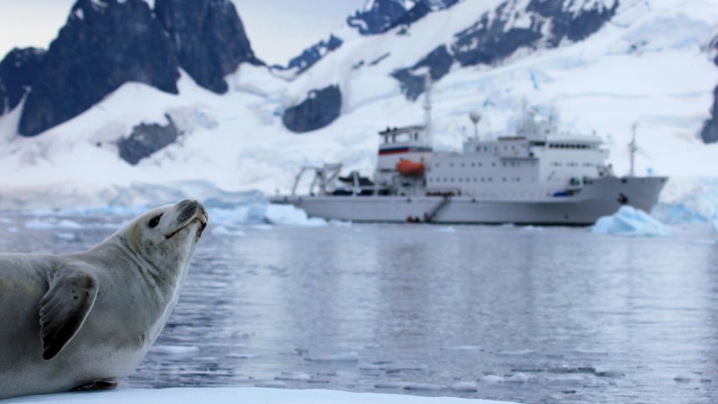 Croisière Antarctique avec enfants : comment bien choisir vêtements et équipements ?