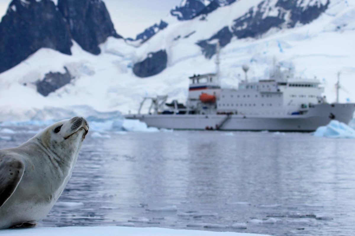 Croisière Antarctique avec enfants : comment bien choisir vêtements et équipements ?