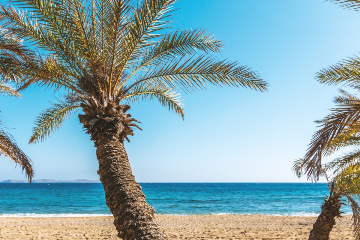 Maroc en croisière : plages de rêve et paysages à couper le souffle