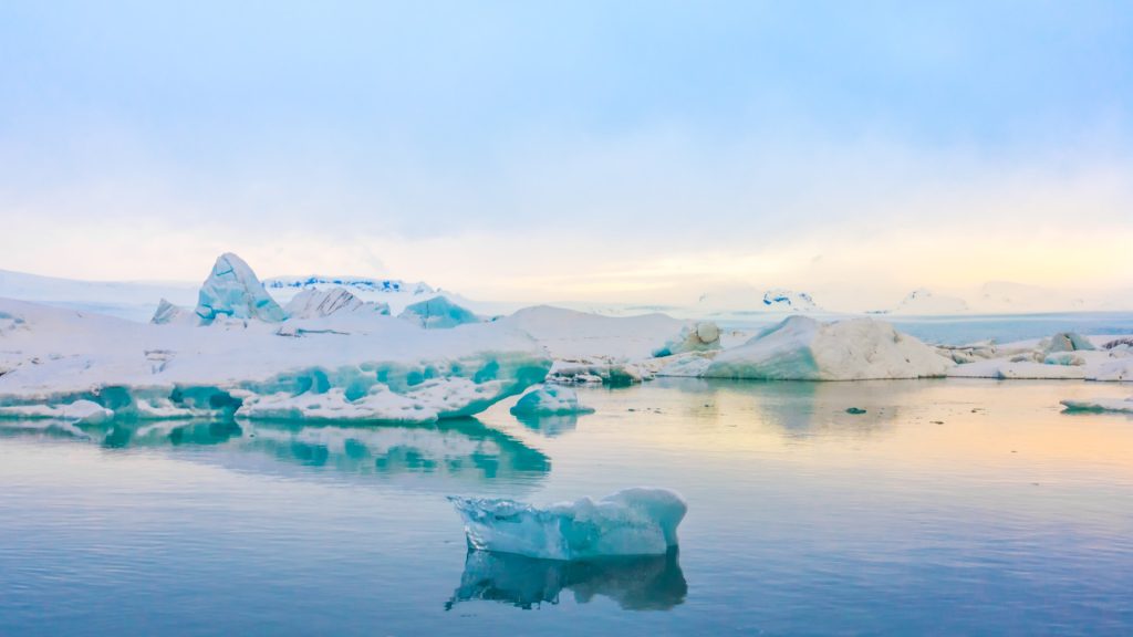 Baleines, phoques et glaciers : l’Antarctique en croisière immersive