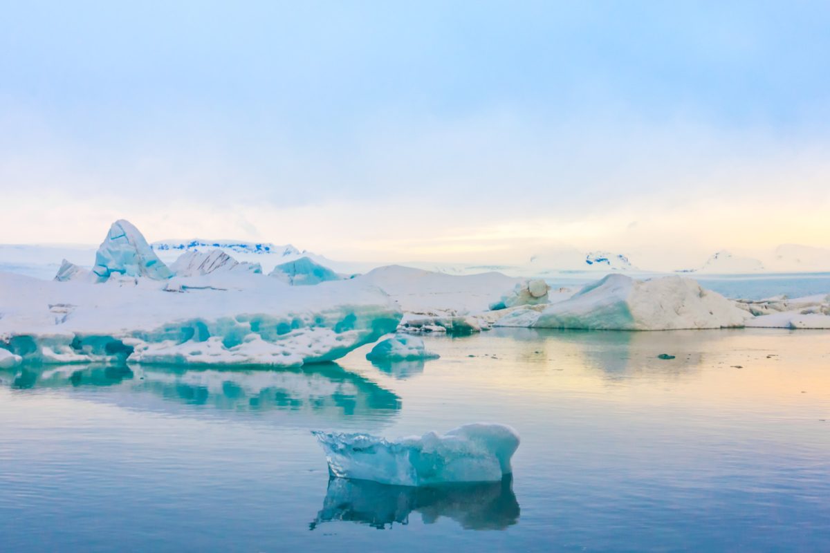 Baleines, phoques et glaciers : l’Antarctique en croisière immersive