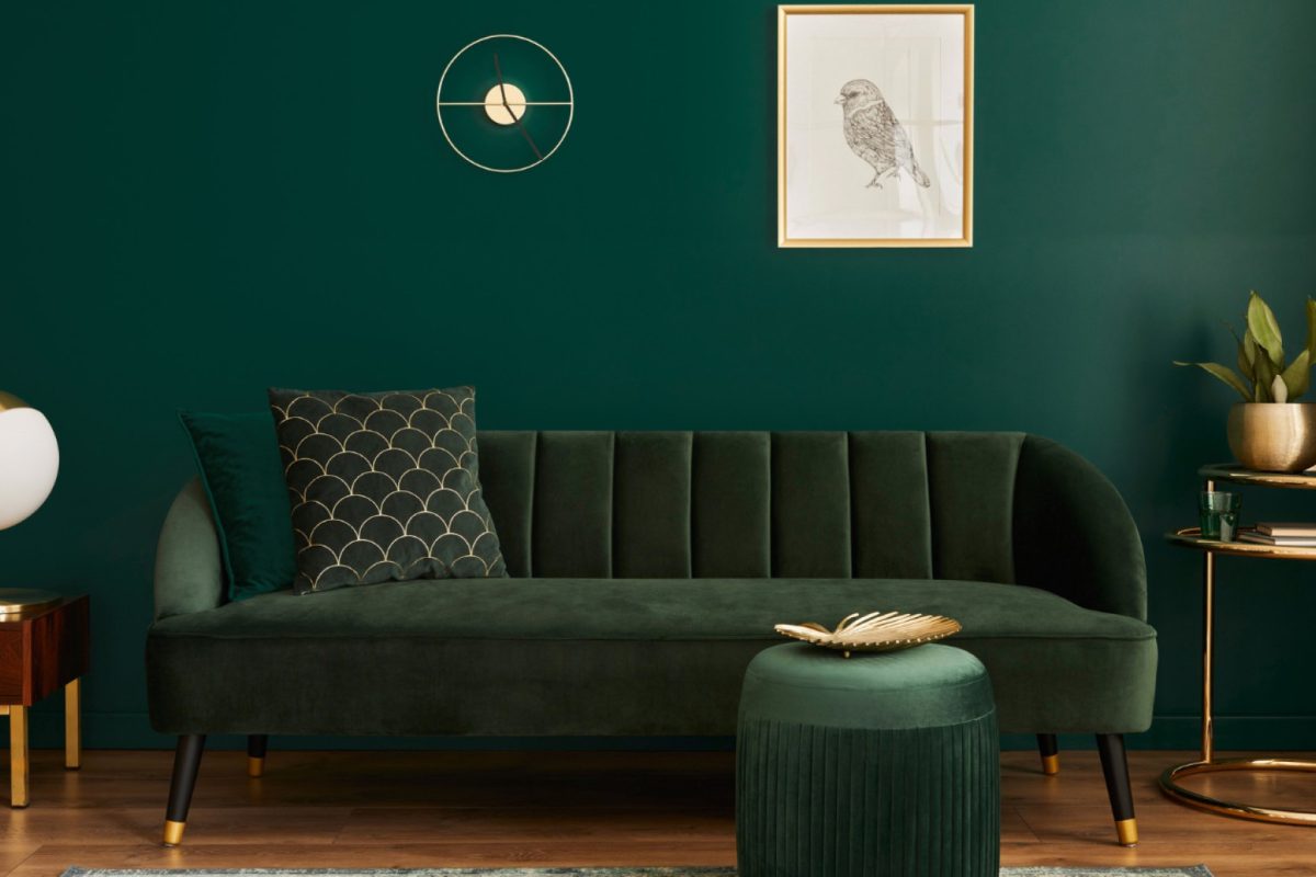 Déco de salon vert : réussir son ambiance sans se tromper
