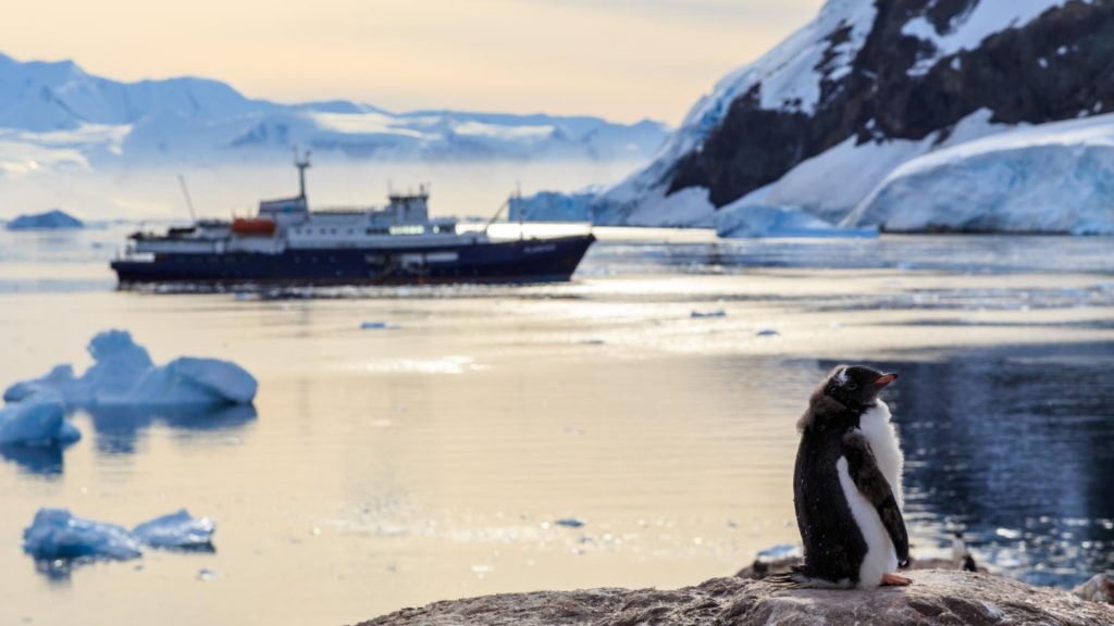 Croisière en Antarctique : une aventure inoubliable dans les régions polaires