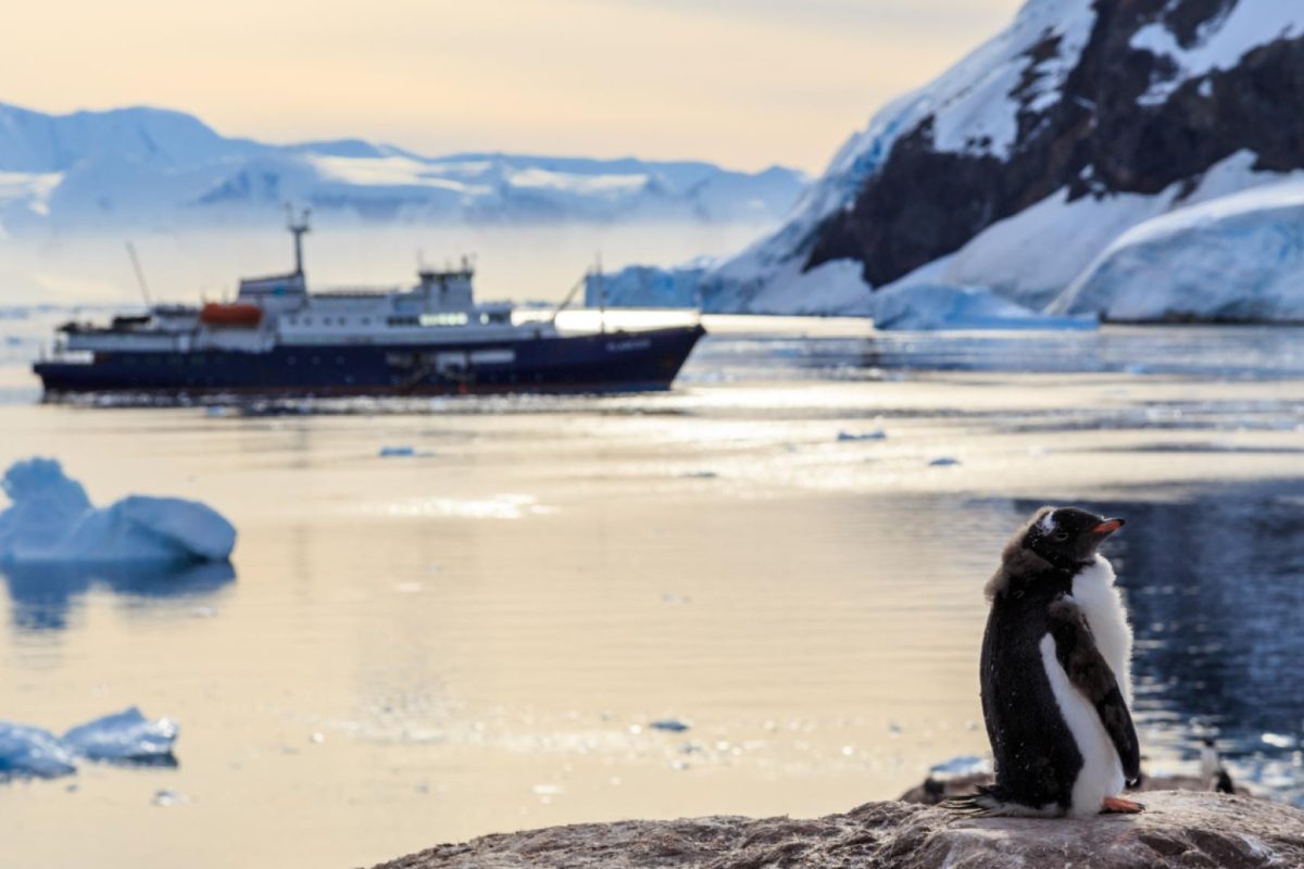 Croisière en Antarctique : une aventure inoubliable dans les régions polaires