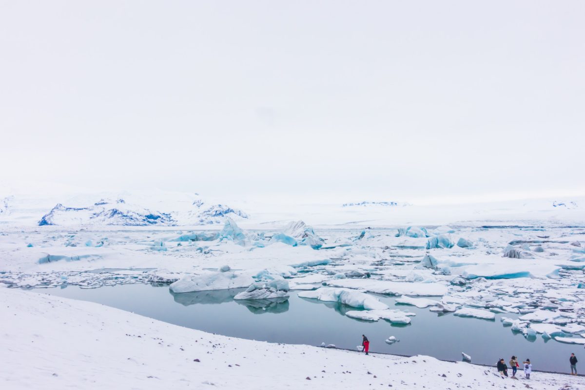 Explorer l’Antarctique en croisière : une aventure hors du commun