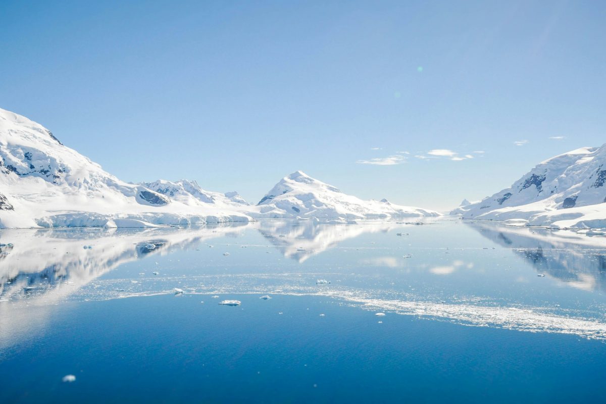 Les meilleures compagnies pour une croisière en antarctique